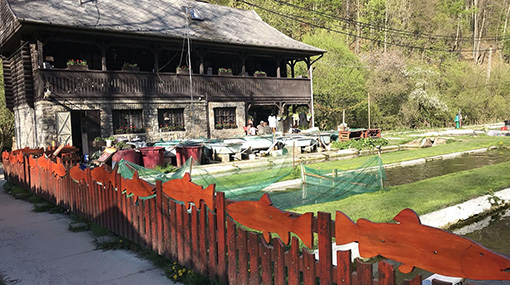 Trout farm with outdoor restaurant